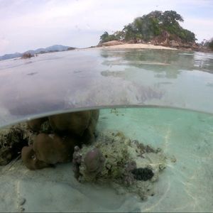 Meet your Posher, VDN